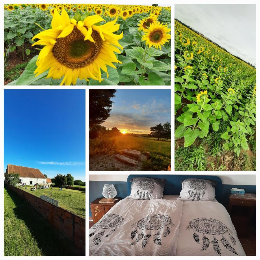 Notre Village Papillon Bed&Breakfast Neret Εξωτερικό φωτογραφία